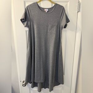 Lularoe Carly Swing Dress Size XS